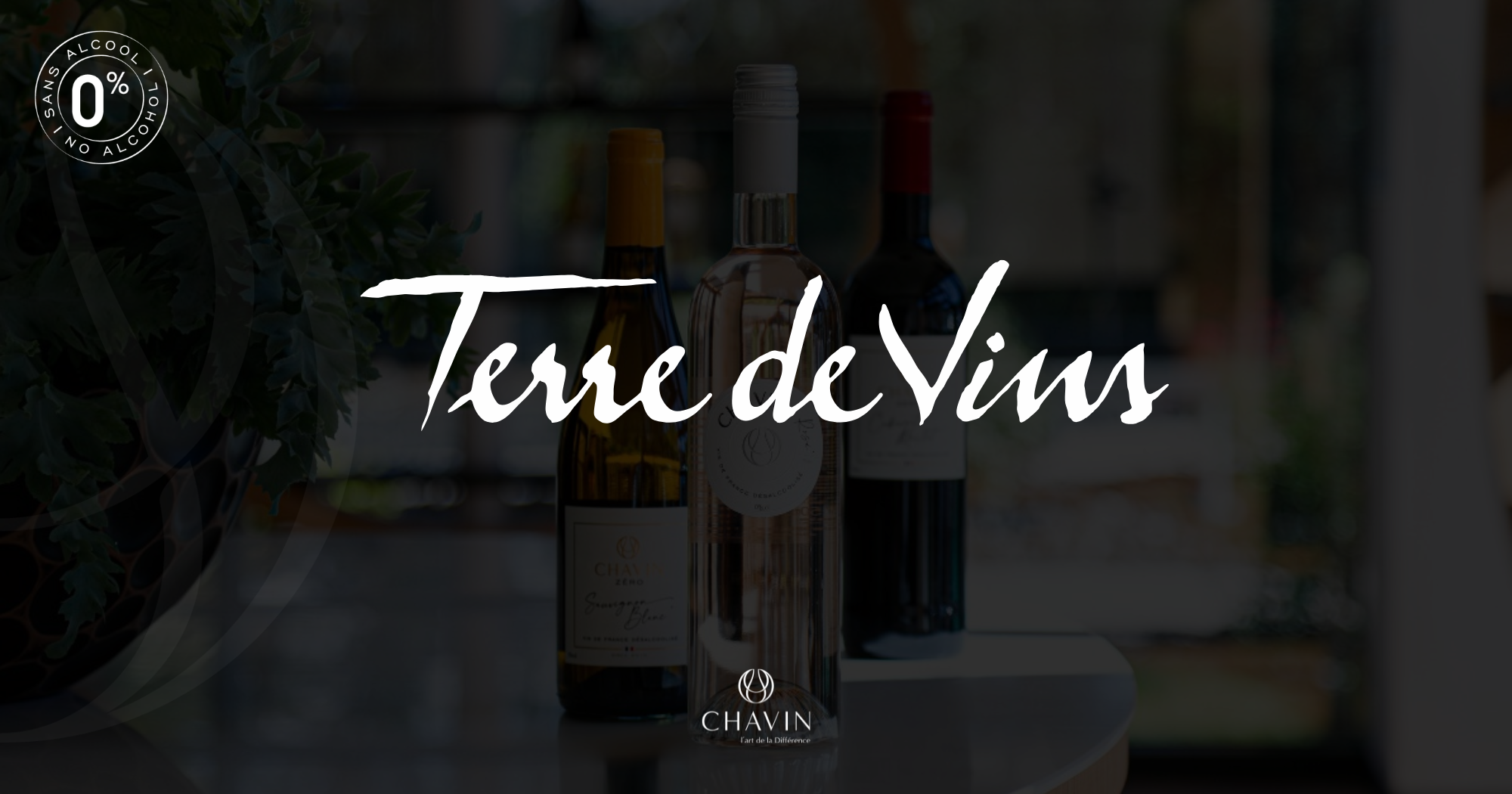 Chavin - Terre de Vins explore les chiffres derriu00e8re le Dry January et le succu00e8s des vins sans alcool